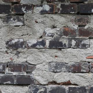 Photo Textures of Wall Bricks Plastered